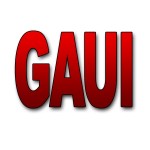 Gaui Helicopter Parts