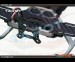 Tarot Q250A Mini 4-Axis Carbon Fiber Quadcopter Frame w/ PCB Board